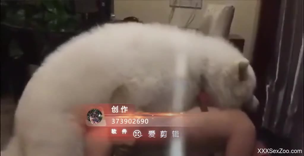 Babe with a hot body is here to fuck a beast