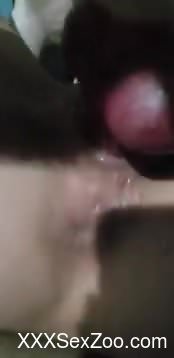 Horny doggo is fast fucking her zoophile owner