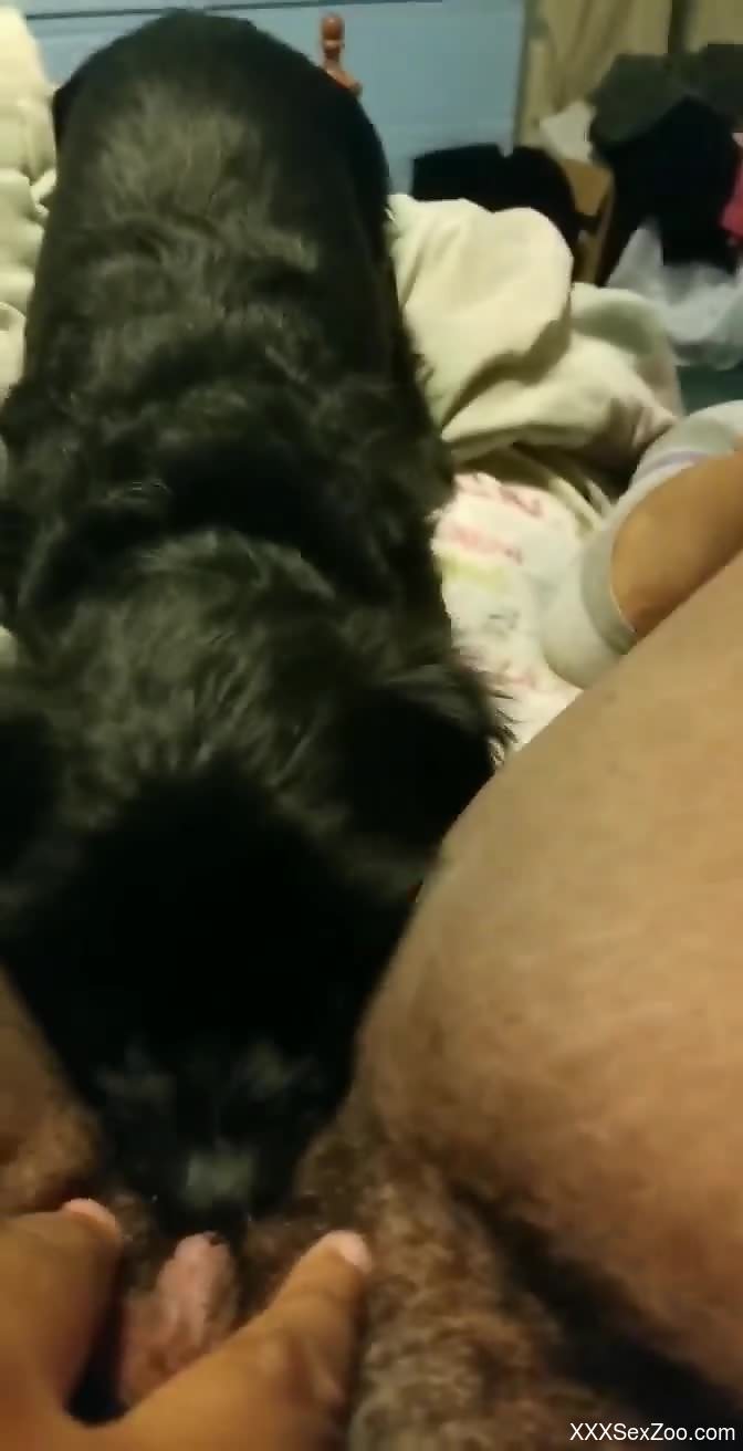 Furry mutt leads the naked woman to insane zoo orgasms