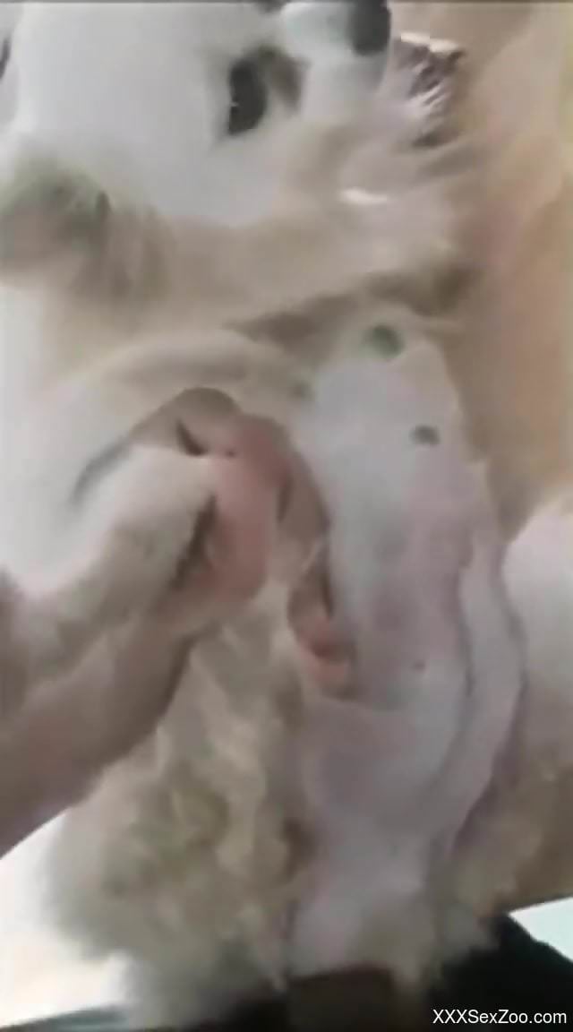 Close-up bestiality with some real freaky action