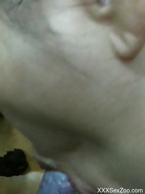 Insolent zoophilia home perversions in ruthless hardcore scenes