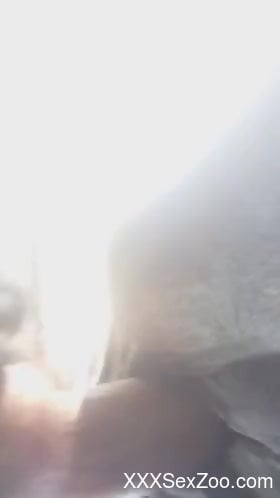 Guy banging a sexy animal from behind in an outdoor scene