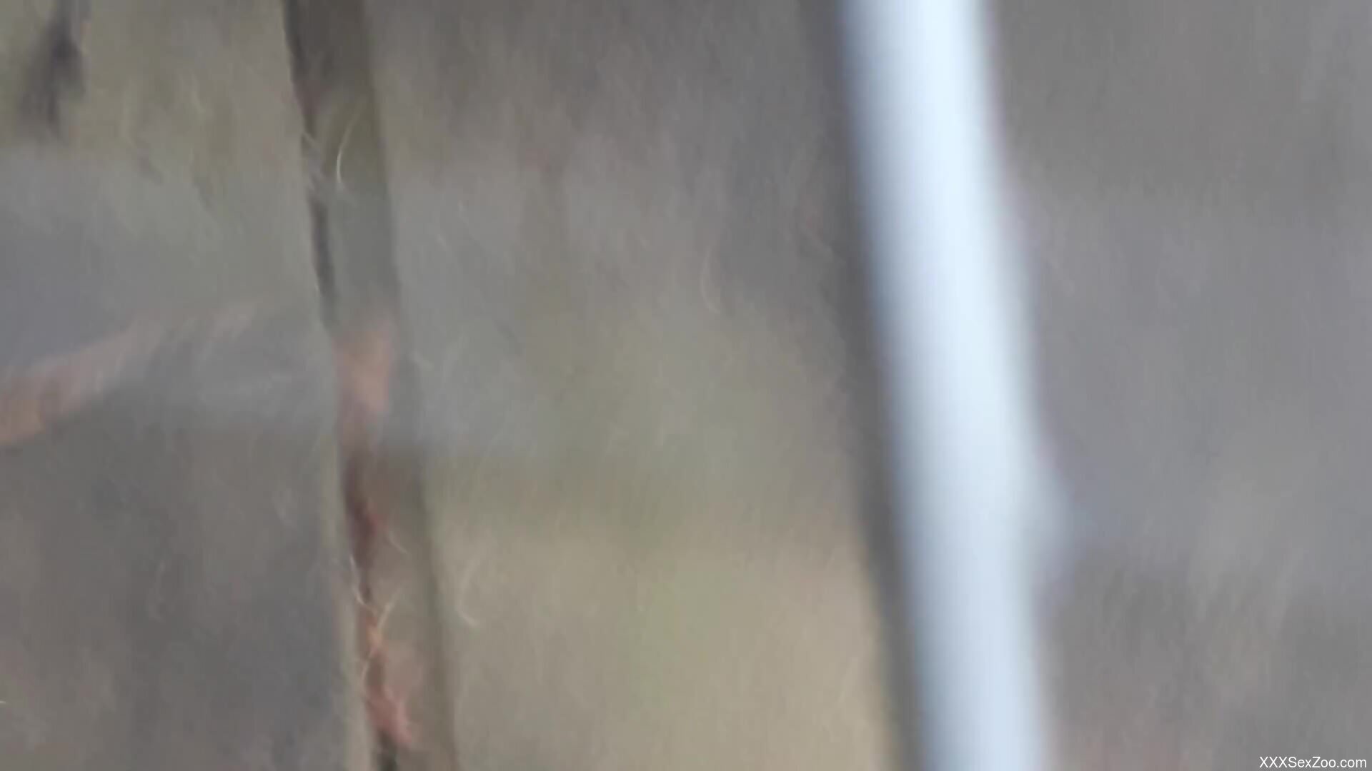 Horny hotness from a kinky lady that cums too