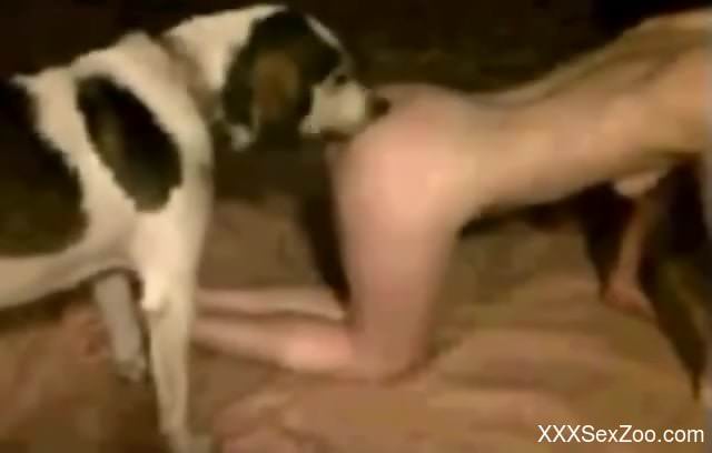 Round booty babe getting fucked by a dirty dog