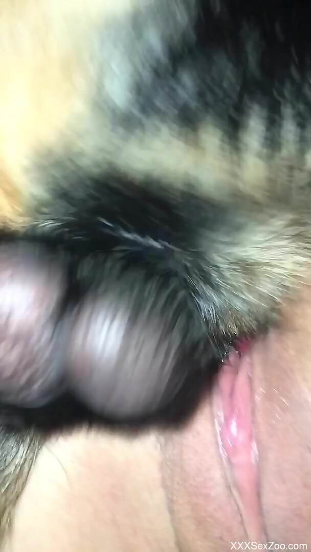 Fine woman lands furry dog's dick from behind in perfect XXX