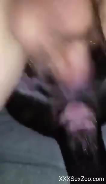 Dude fucking a dirty animal with his huge cock