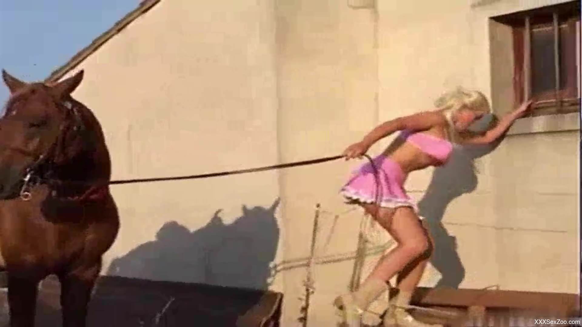 Skirt-wearing hottie plans to seduce a stallion