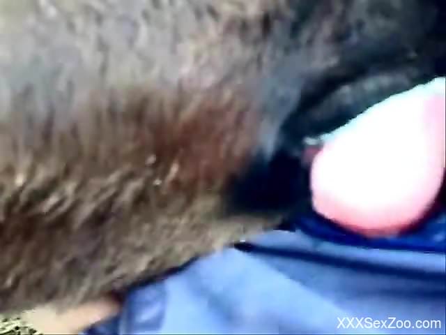 Dude gets a nice blowjob from a filthy animal