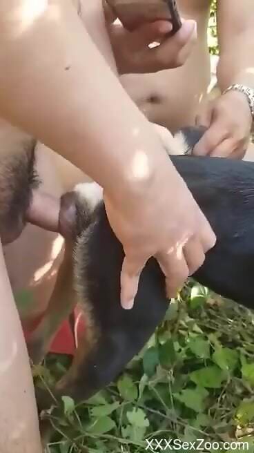 Man deep fucks furry dog in the pussy and ass in outdoor scenes