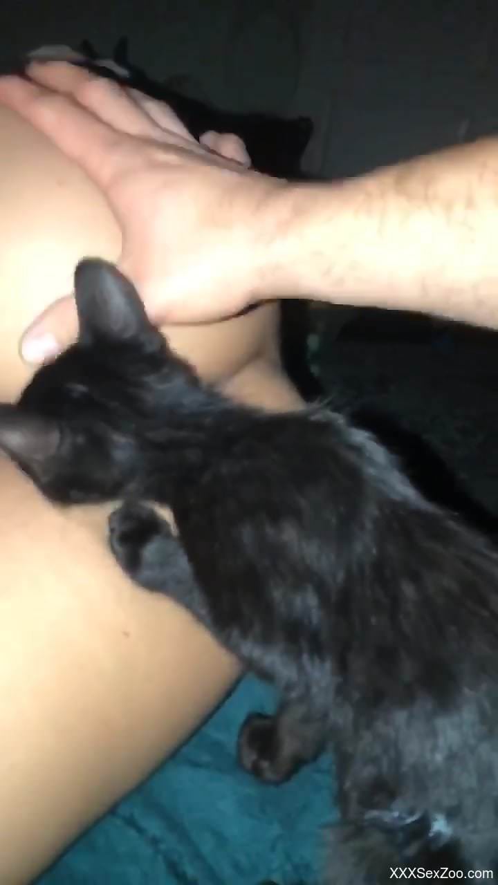 Kitty with a sexy body is taking care of that twat