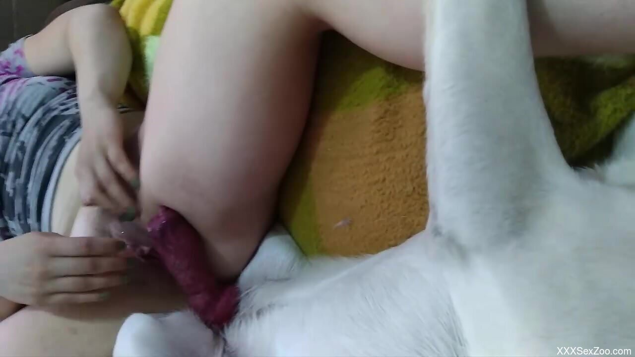 Insolent amateur chick feels amazing with dog dick in her wet cunt