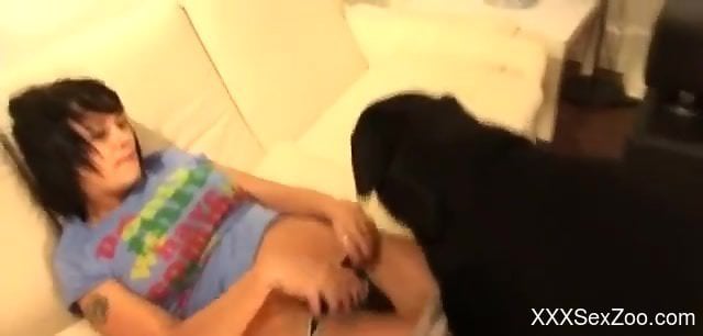 Messy-haired brunette seducing her horned-up animal