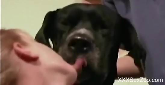 Bestiality compilation focusing on kissing and oral