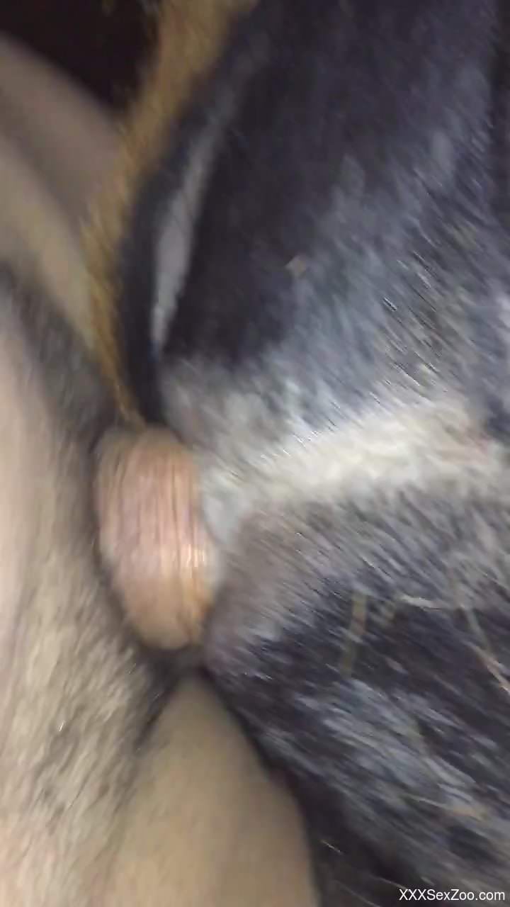 Dude power-fucking a beast's hole from behined