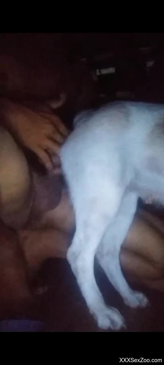 Naked gay male fucks furry animal in ruthless cam scenes
