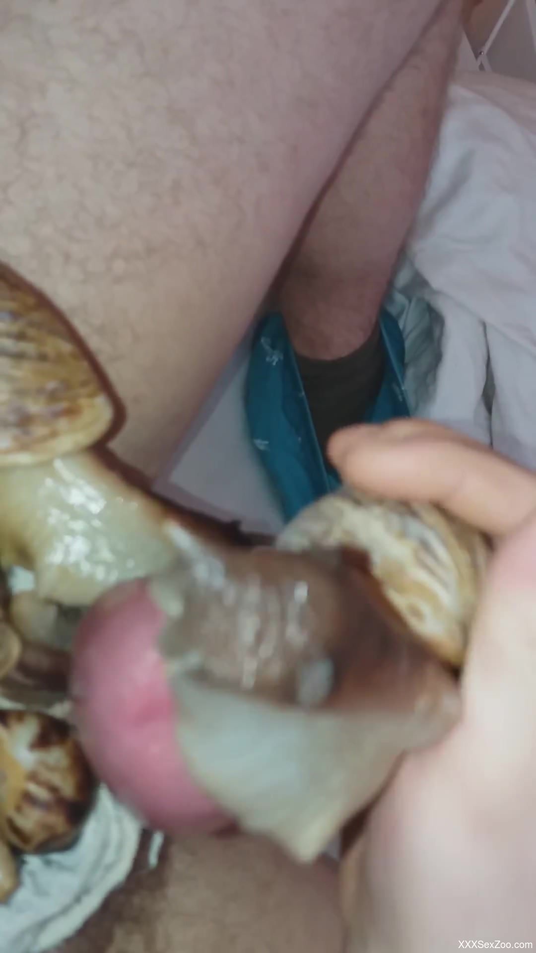 Dude's cock gets covered by sexy snails and their goo