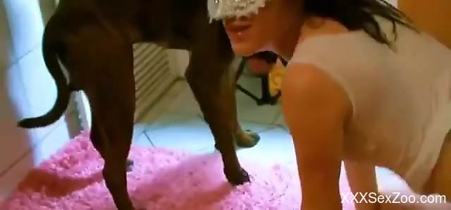 Brunette whore lands massive dog cock up the throat