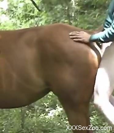 Harsh oral sex and nude animal porn for a thirsty gay male