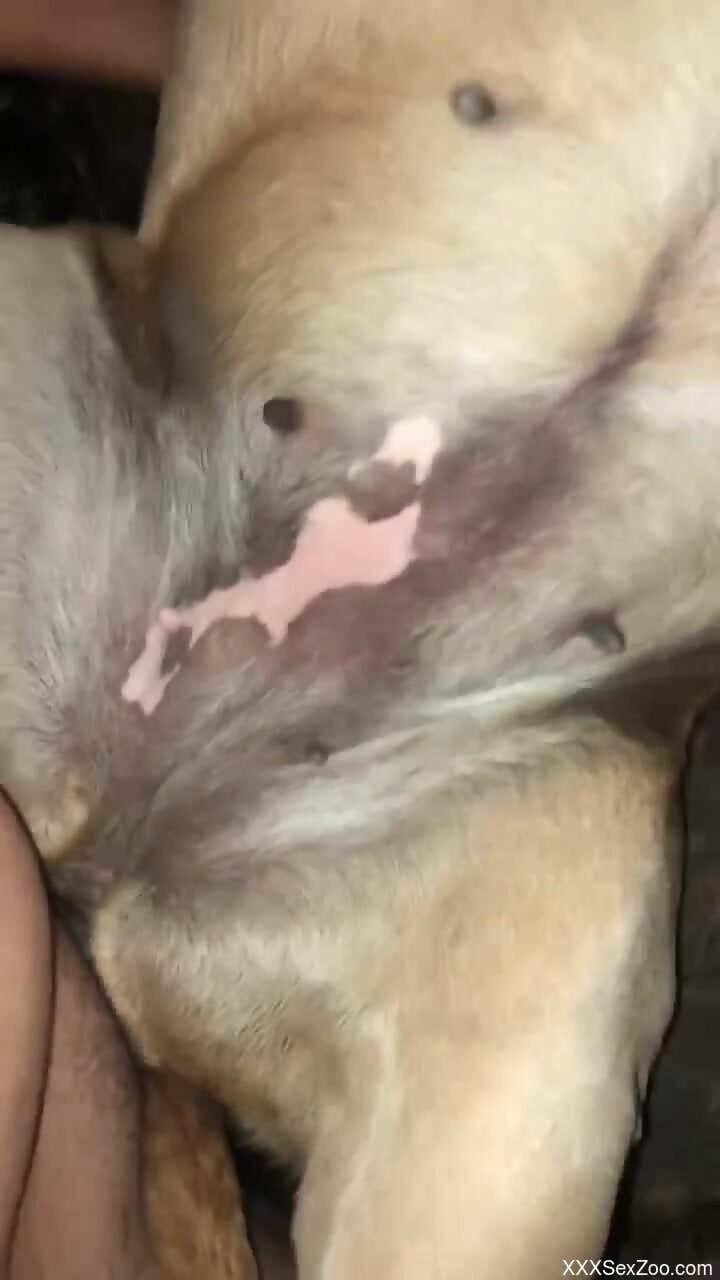 Animal enjoying all the pleasure it can up close