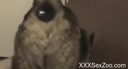 Animal pussy is going to prove to be too juicy