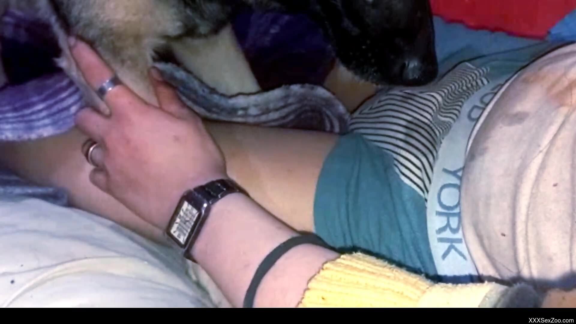 Dude fucking a dog's mouth in a hot porn movie