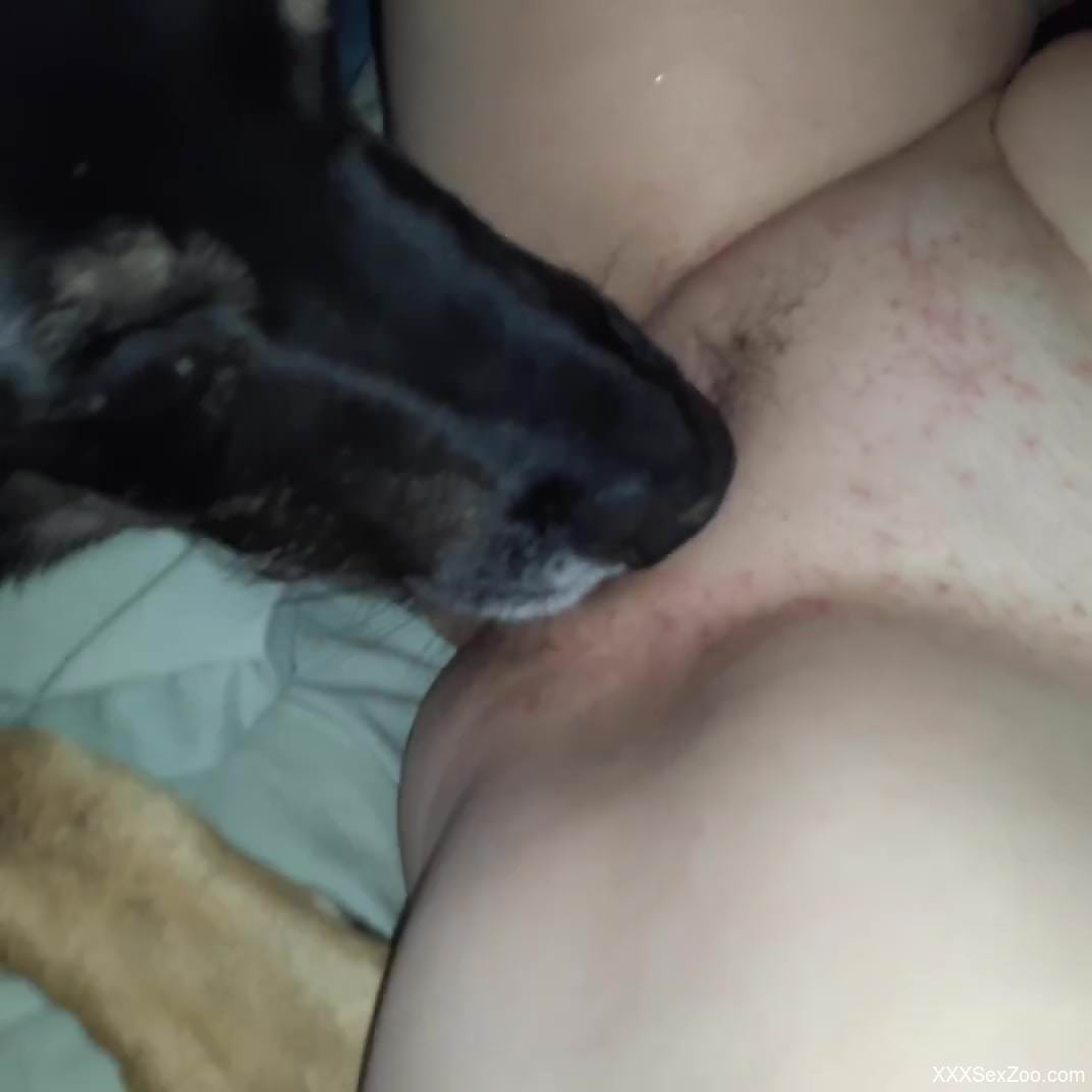 Dog licks woman's pussy when she's masturbating