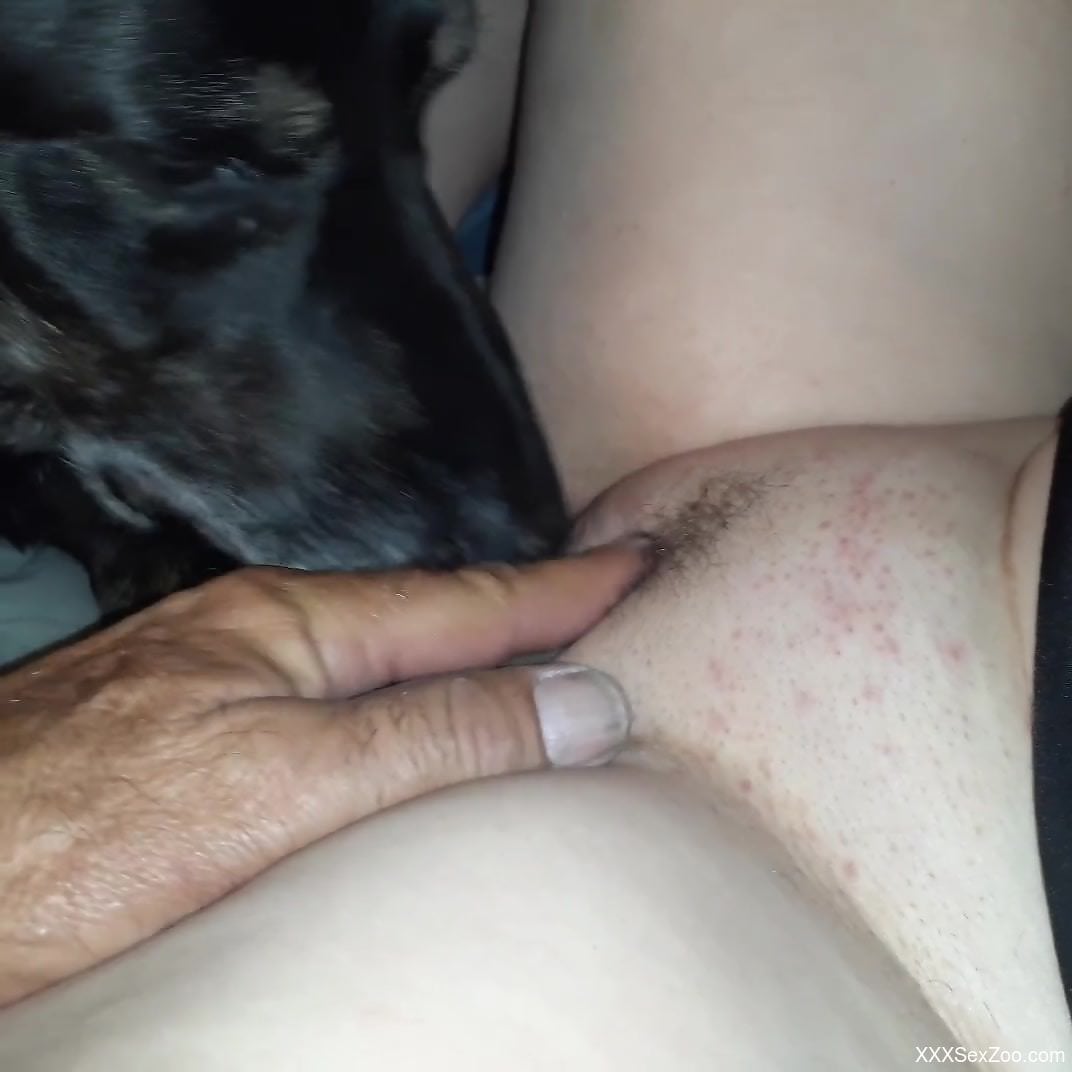 Close-up licking session with a kind-looking doggo