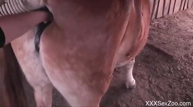 Fisting session with a cow that wants DP today