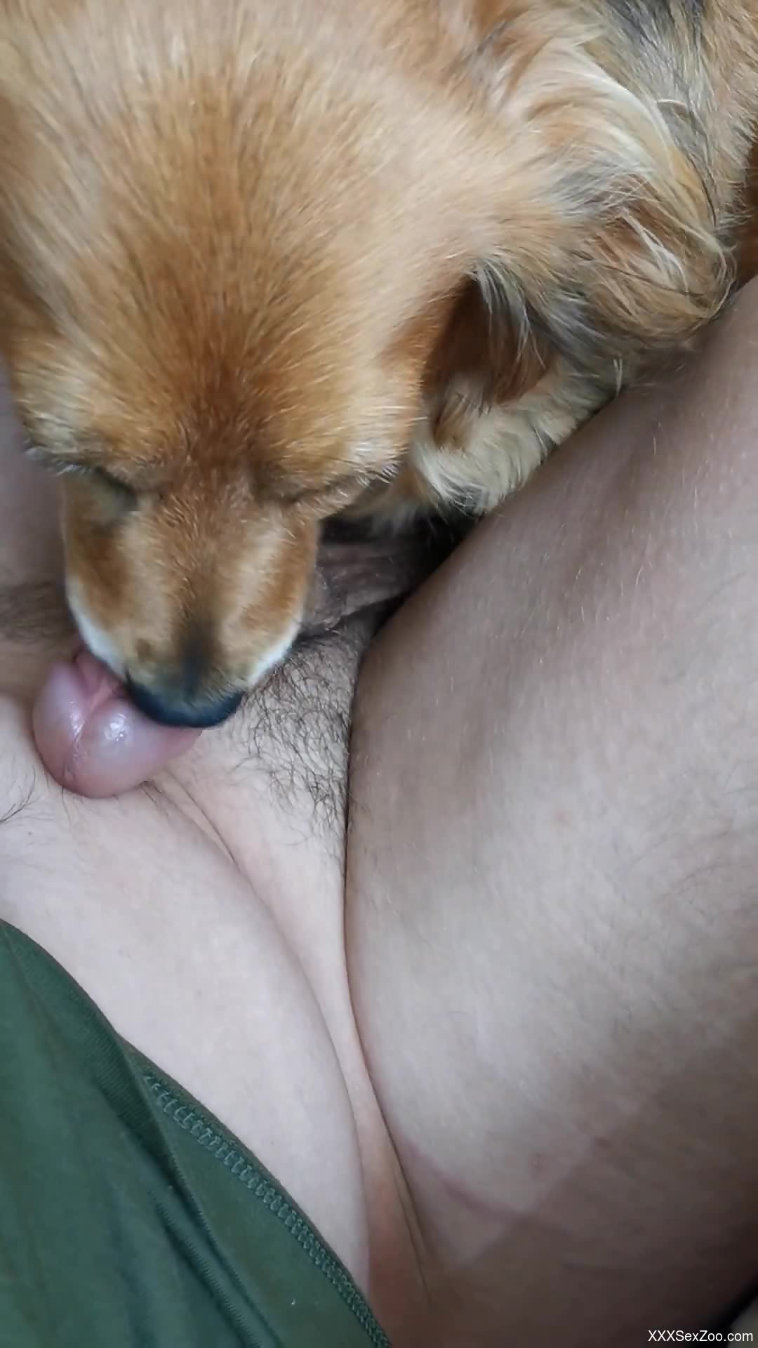 Nude man shares fantasy zoophilia porn scenes along with his dog