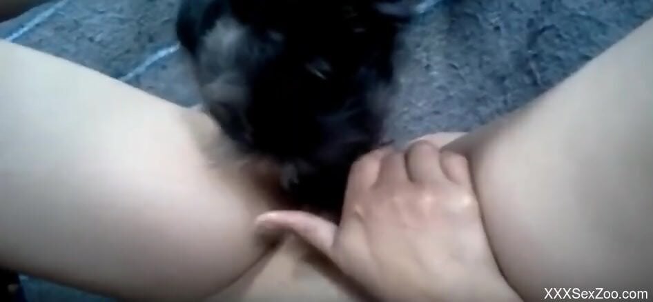 Hot bitch gets licked by sexy animal with no shame