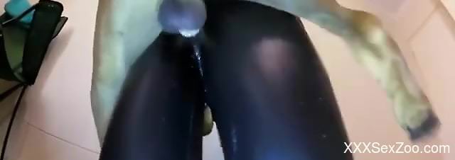 Compilation of doggy style fucking with kinky babes