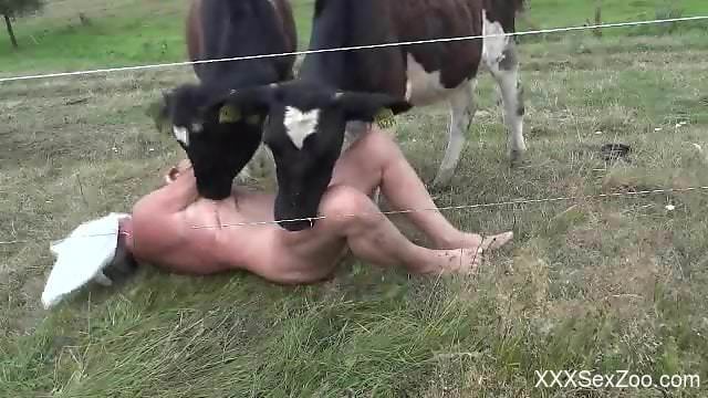 Hot bitch enjoying hard sex with two cows at once