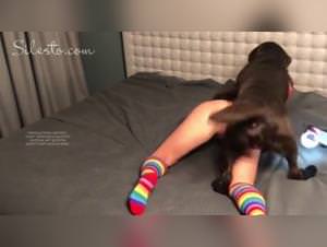 Veronica Silesto - Dog Porn XXX: Raw Bestiality Action