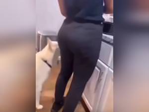 Primal Dog Hunger Ass