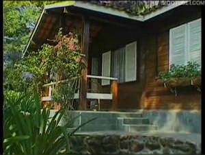 Latina orgy : doggy style, wild beastly sex