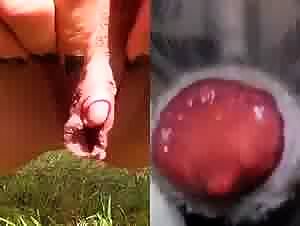 Fucking with a dog on ztube.org - slut sucks her dog