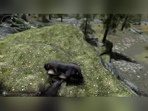 Skyrim X: Milly Dog Sex Part 1