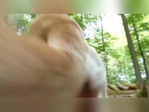 K9 sex: red hood devoured by dog deepthroat