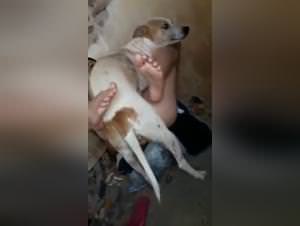 Teen dog fuck hardcore