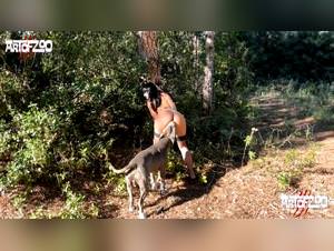 Artofzoo hardcore doggystyle, explicit sex videos