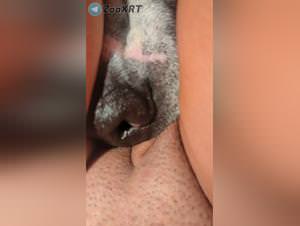 Dog fucking slut