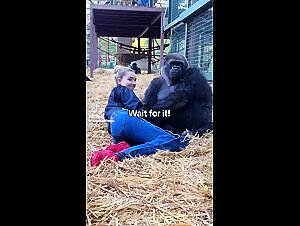 Ticzoo fucks his dog porn videos