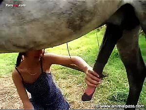 Hungarian Animal Lesbian Fuck Sluts Animal Lesbians Sluts