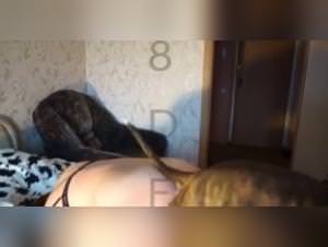 Wild Woman Dog Sex