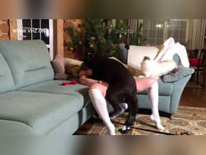 VS-VHZ Doggy Styleslut