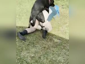 Thick milf fucks her black lab dog