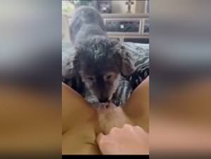Dog Sex Girl - Extreme Futa Porn