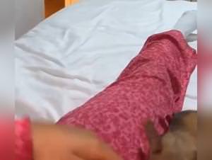 Irish chav wild delights