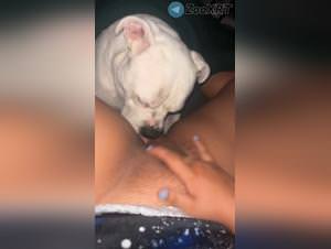 Slut gets licked by dog : hardcore porn