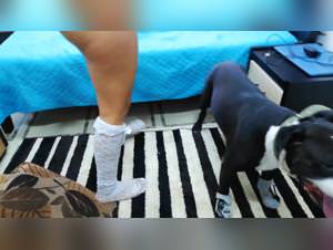 Whores and Dogs: A Naughty Erotic Relationship